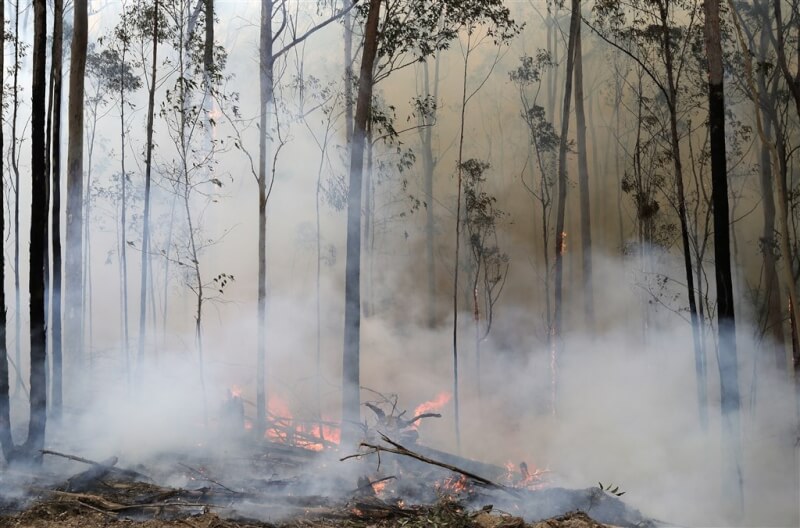 研究人員8日表示，澳洲野火產生的煙霧引發化學反應，導致臭氧層破洞擴大10%。圖為2020年澳洲波達拉野火情形。（美聯社）
