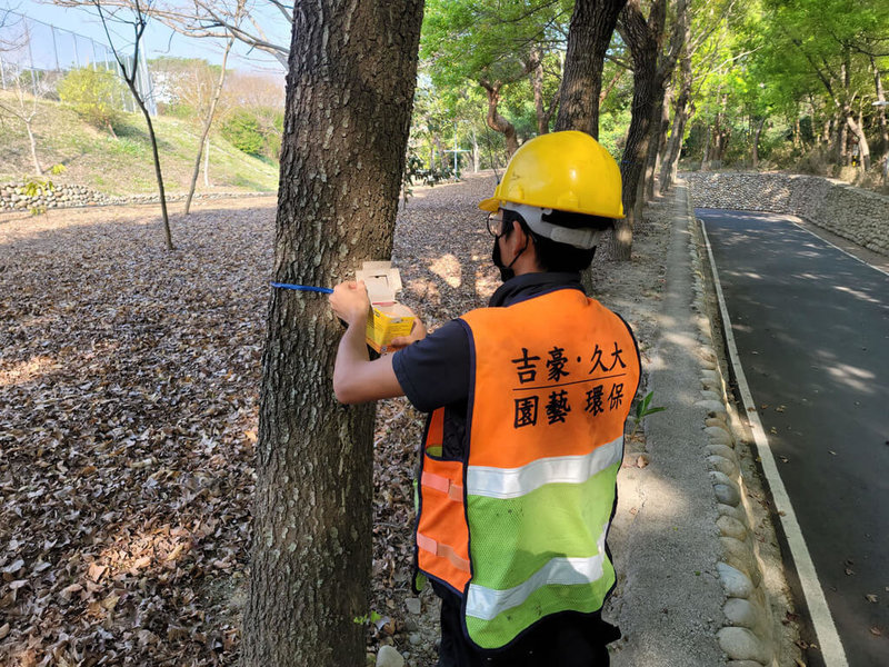 台中市觀旅局為防範荔枝椿象造成遊客安全疑慮，今年3月起於東豐自行車綠廊、后豐鐵馬道、潭雅神綠園道及新田登山步道沿線陸續施放約4萬隻平腹小蜂卵卡，也提醒到訪遊客留意，勿靠近荔枝椿象生態防治作業區域。（台中市政府提供）中央社記者趙麗妍傳真  112年3月10日