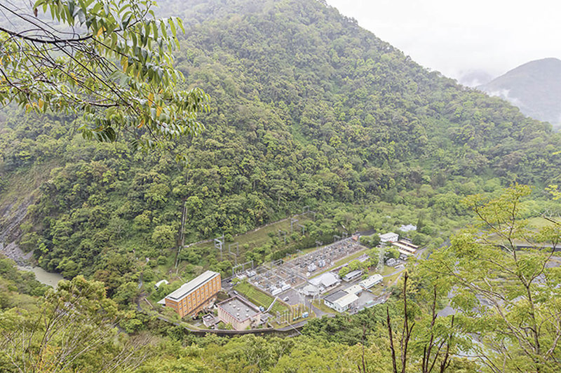 台電透過自身電廠及與縣市合作，已累計植樹近28萬棵，圖為曾成功復育特有種植物台灣大豆的萬大電廠。（台電提供）中央社記者曾智怡傳真  112年3月11日