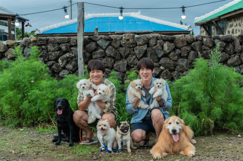 韓劇「機智醫生生活」柳演錫（右）、韓片「與神同行」車太鉉（左）在寵物話題電影「超完美狗保姆」踏上為愛犬尋找保姆的旅程，全片集結黃金獵犬、拉布拉多等各種萌犬。（采昌國際多媒體提供）