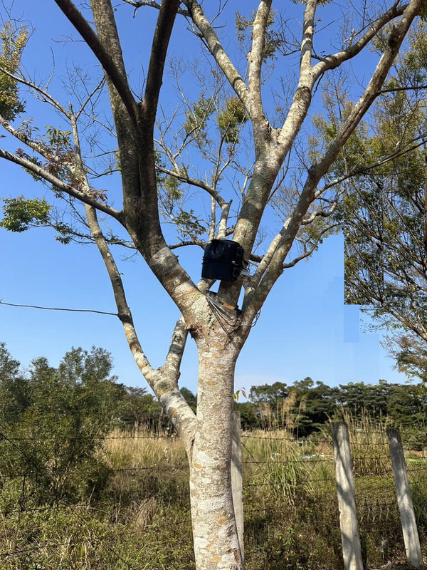 桃園市龜山區產業道路位置偏僻，常遭民眾亂丟垃圾，桃園市環保局透過科技執法，在隱密處架設縮時攝影機，揪出亂丟垃圾案件開罰。（桃園市環保局提供）中央社記者葉臻傳真  112年3月16日