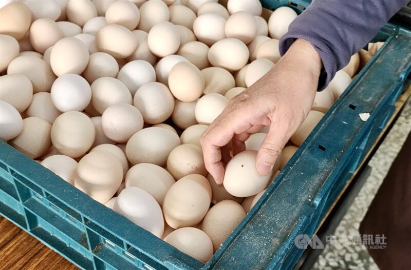 農委會主委陳吉仲17日表示，國內每天雞蛋產能在增加，「5月中旬回到穩定水準」。圖為高雄市左營區零售蛋行販售雞蛋。（中央社檔案照片）
