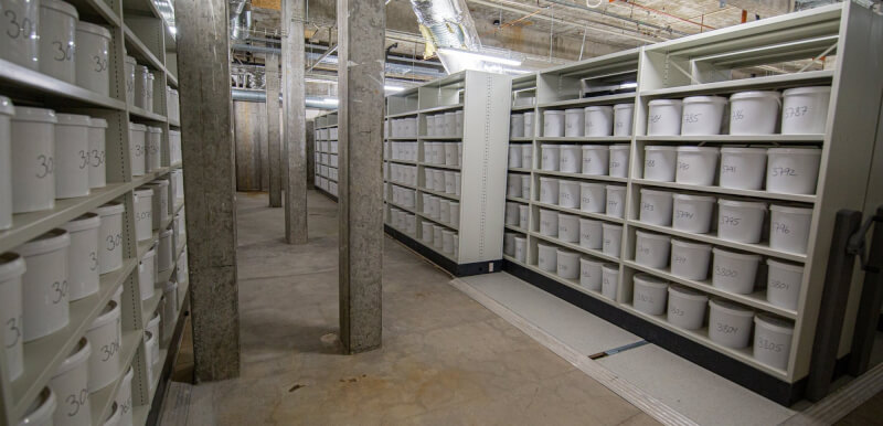丹麥奧登斯大學一座地下室的牆壁上排列著無數個架子，架子上放著9000多件人腦標本。（圖取自facebook.com/SDUniversitet）