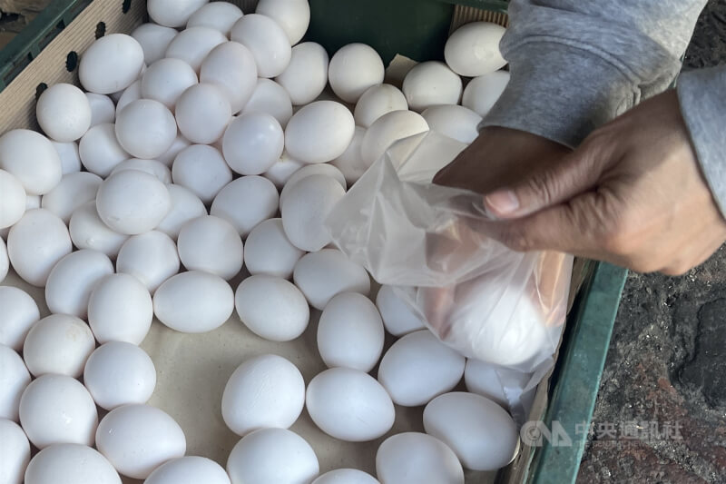 圖為民眾在台北市北投區雜貨店買雞蛋。（中央社檔案照片）