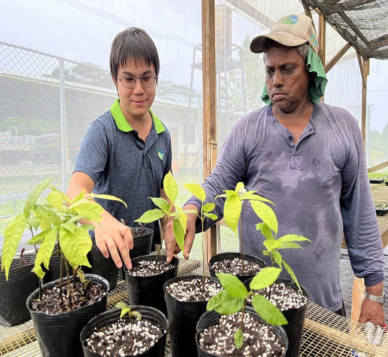 駐帛琉技術團食品加工役男林煒軒，運用在地可可樹種原，協助帛琉創造具商機的在地巧克力。（國合會提供）中央社記者黃雅詩傳真  112年3月21日