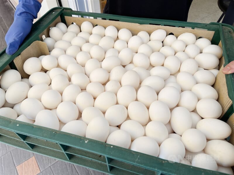 圖為台北市信義區一家早餐店雞蛋到貨。（中央社檔案照片）