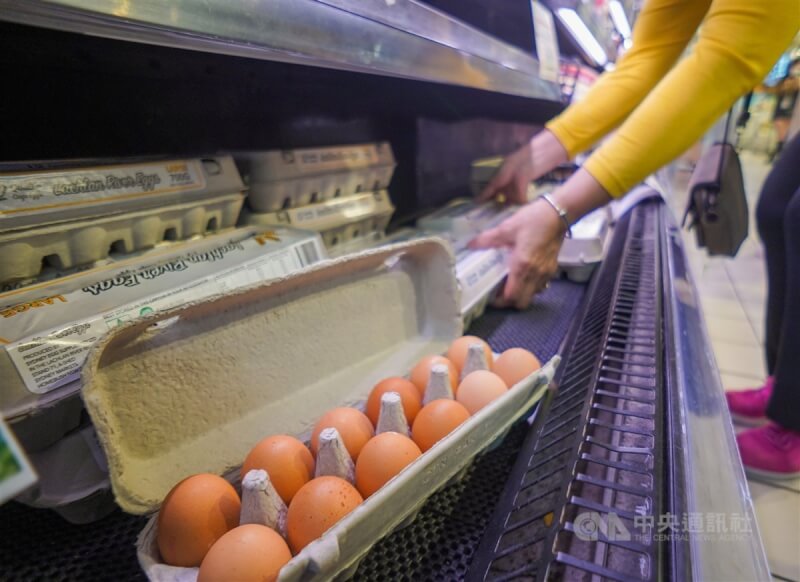 圖為民眾29日上午到家樂福購買進口蛋。（中央社檔案照片）