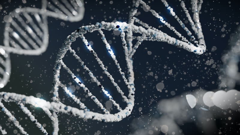 中研院團隊發現，「必要基因」可在演化中快速改變，打破過往學界認知。（示意圖／圖取自Unsplash圖庫）