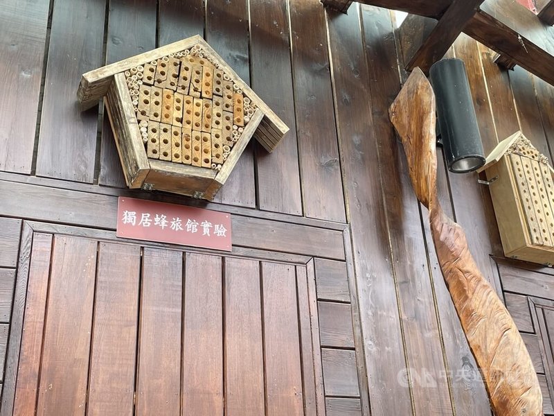 太魯閣國家公園管理處利用廢棄步道木材及修枝製作大小孔徑不一的「獨居蜂旅館」，第一期製作大小不一的孔徑，放置在伊達斯廳外牆與環流丘步道。中央社記者張祈攝  112年4月1日