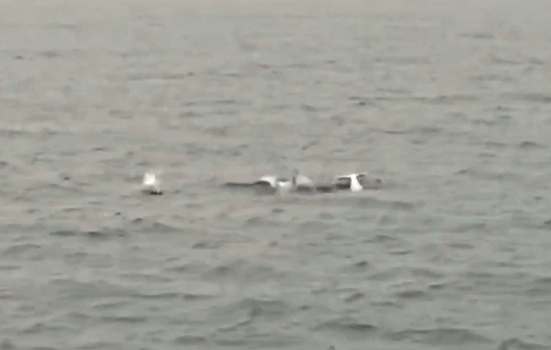 布袋海巡隊執行「台灣白海豚復育專案」，1日清晨在雲林麥寮外海發現6至8隻白海豚聚集。（布袋海巡隊提供）中央社記者蔡智明傳真  112年4月1日