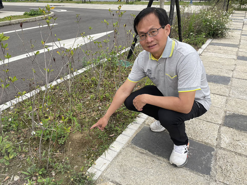 民進黨新竹市議員曾資程8日表示，近日接獲民眾通報，指慈雲路旁一處公有停車場疑有紅火蟻丘，到場查看確認有多處紅火蟻丘，立即聯繫市府交通處趕緊派員處理。（曾資程提供）中央社記者魯鋼駿傳真 112年4月8日