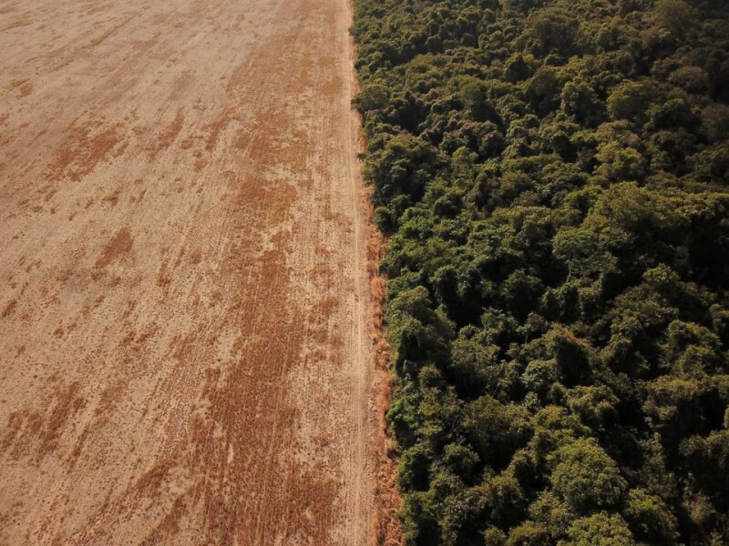 巴西官方數據顯示，今年第一季巴西亞馬遜雨林砍伐情況是歷史記錄中單季第二嚴重，共有844平方公里的林地被毀。（路透社）