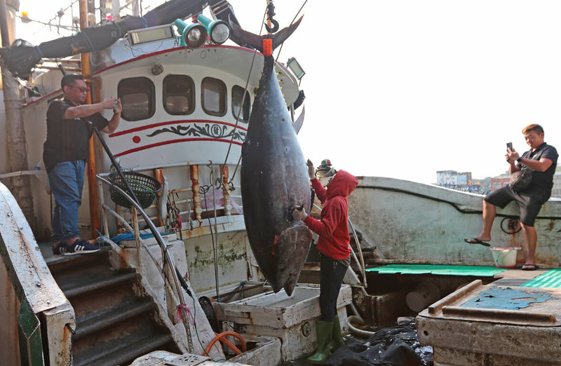 蘇澳籍漁船「再發68號」最近在外海捕獲黑鮪魚，今天進港過磅後竟有320公斤，經當地漁會判定為今年「蘇澳第一鮪」，且是近10年來最重的「蘇澳第一鮪」。（讀者提供）中央社記者沈如峰宜蘭縣傳真 112年4月12日