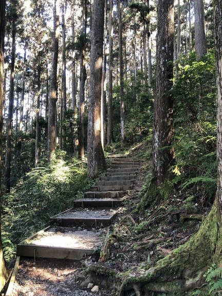 林務局屏東林區管理處12日表示，藤枝國家森林遊樂區21日起免預約，現場購票即可入園。（屏東林管處提供）中央社記者蔡孟妤傳真  112年4月12日