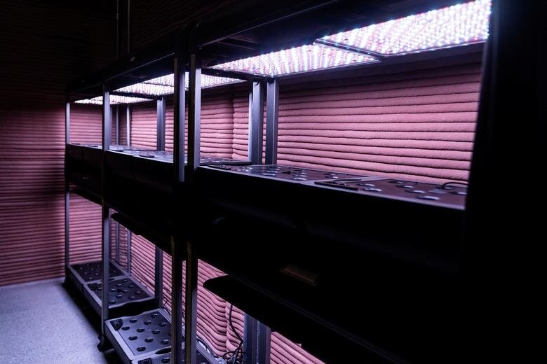 模擬火星棲地內的立體農場。（路透社）