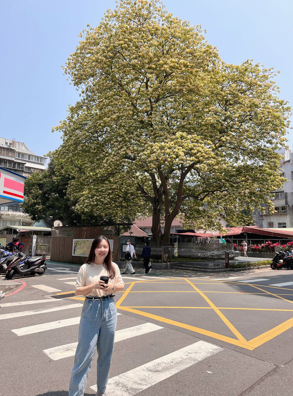 台電魚木每到4月花季就成賞花與網美打卡秘境。（台電提供）中央社記者潘姿羽傳真  112年4月15日