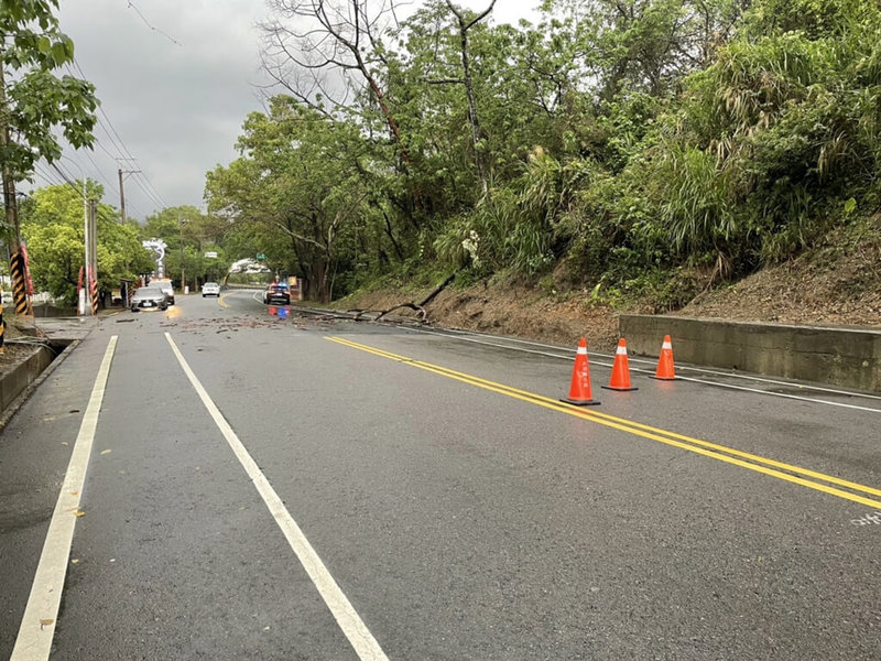 豪雨來勢洶洶，苗栗縣大湖鄉台3線新開路段20日清晨有路樹倒塌，一名機車騎士行經該處反應不及摔車倒地，造成右手骨折、身體多處擦傷，送醫救治。（警方提供）中央社記者管瑞平傳真  112年4月20日