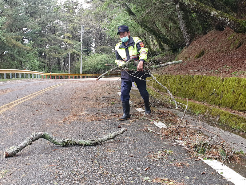 花蓮縣警察局新城分局24日表示，連日來山區大雨，造成合歡山各區段災害，台8線中橫、台14甲線沿線發生狀況，合歡警徒手清除落葉斷木，預防交通事故發生。（花蓮縣警察局提供）中央社記者李先鳳傳真  112年4月24日