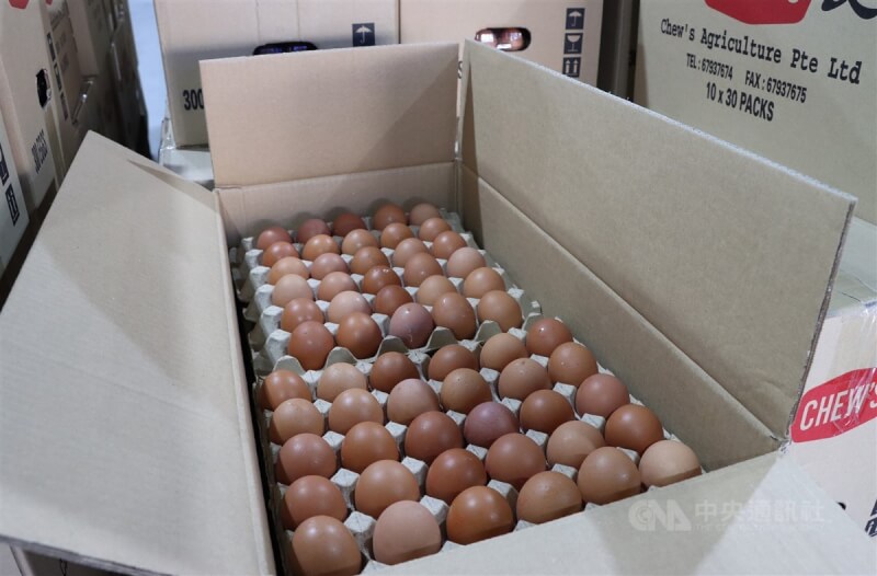 圖為台灣進口新加坡周氏農業公司生鮮殼蛋。（中央社檔案照片）