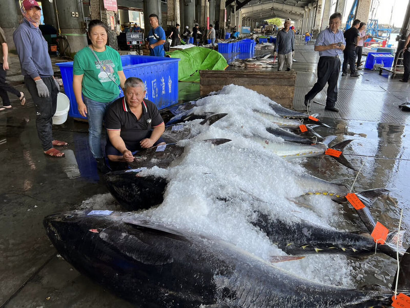 台東新港漁港「捷安號」船長鄭國靜（左3）捕到的黑鮪魚經常被海豚吃到剩魚頭，被封「魚頭船長」，1日他一口氣拉上9尾，且都是完整的，一舉洗刷「魚頭船長」頭銜。（陳錦泰提供）中央社記者盧太城台東傳真 112年5月2日