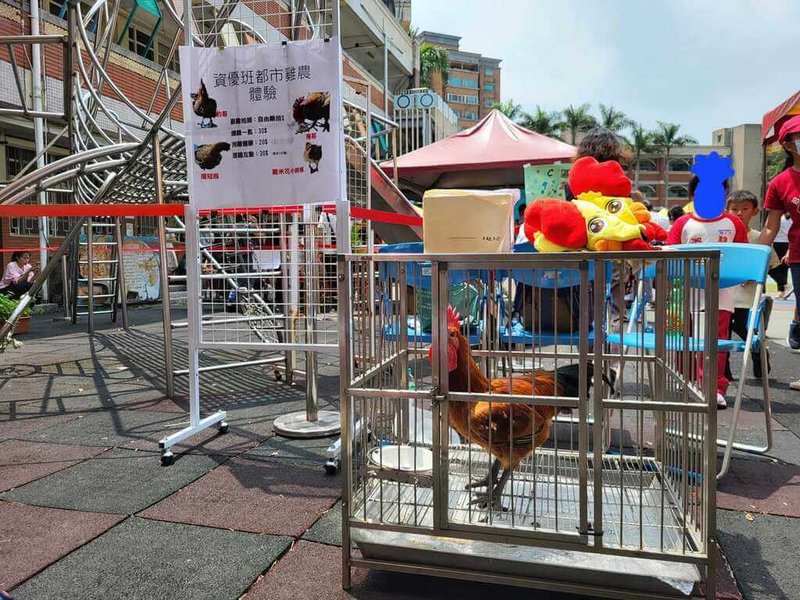 台北市內湖區一所國小的園遊會出現「資優班都市雞農體驗」攤位,有家長批評此舉連對生命最基本的尊重都沒有。(家長提供)中央社記者陳昱婷傳真 112年5月3日