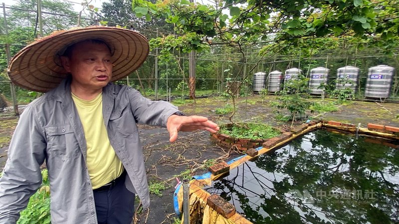 新北市雙溪區上林國小校長乃瑞春(圖)3日表示,學校發展永續生態,大自然就是最好的教育與學習場所,水生池與蚓魚菜共生系統,就是環境永續課程之一。中央社記者黃旭昇新北攝 112年5月3日
