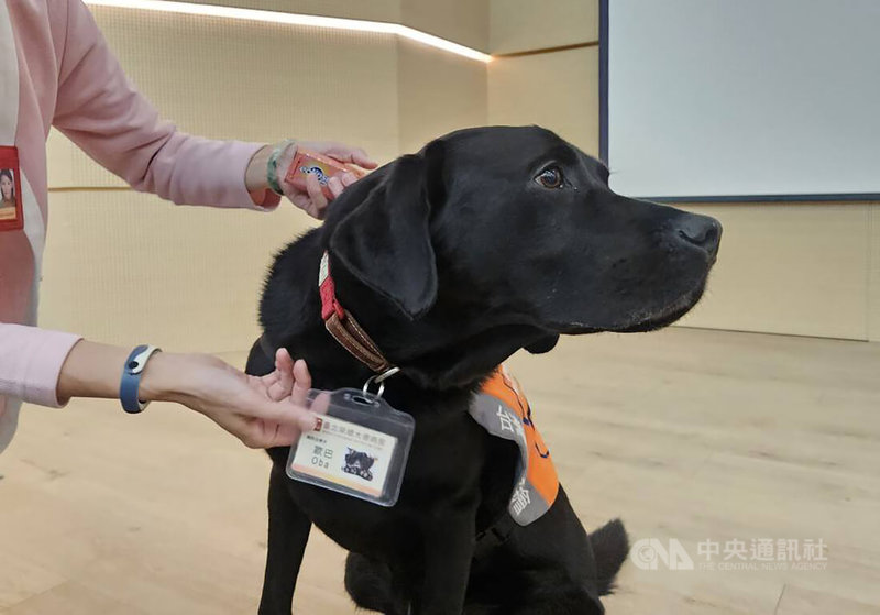 生命最後一哩路，陪伴很重要，台北榮民總醫院大德病房，一身黑毛、有著無辜狗狗眼的「歐巴」（圖），是醫院的大明星，牠是全台第一隻駐點安寧團隊輔助治療犬Oba，陪伴好多人走向生命終點。中央社記者陳婕翎攝 112年5月4日