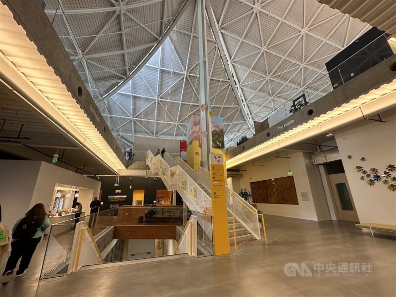 Google去年在加州山景城總部旁啟用Bay View(灣景)新園區,通風系統100%引入外部空氣,比傳統平均引入20%到30%高出許多,空氣從1、2樓之間樓板的排風口橫向引入室內,減少傳統空調的出風噪音。中央社記者吳家豪舊金山攝 112年5月10日