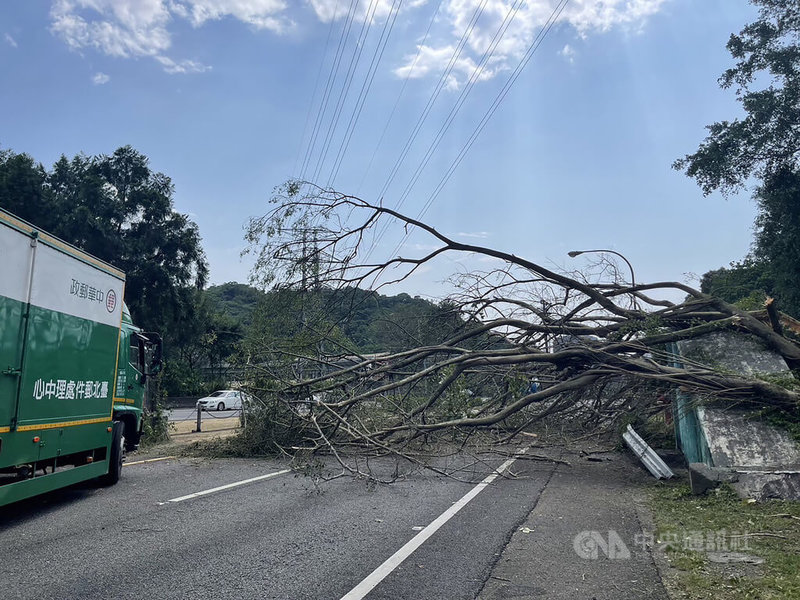 台北市消防局、國道警察18日下午獲報，指國3甲西向0.7公里處往北市市區方向有路樹橫倒，全線車道受阻無法通行，立即派員到場清出一處通行空間，目前車流回堵約2至3公里，肇因待查。（翻攝照片）中央社記者黃麗芸傳真 112年5月18日