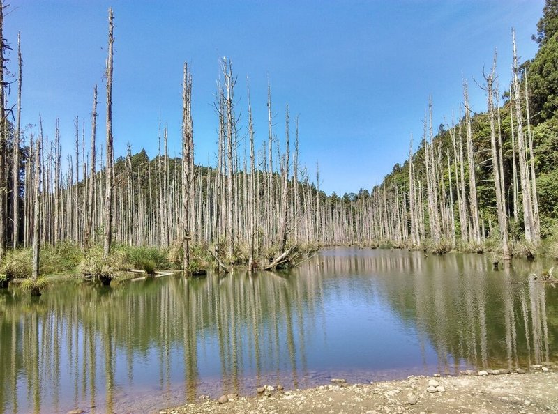 水漾森林是因921大地震，造成嘉義石鼓盤溪上游的河道受阻而形成的堰塞湖，枯木立在湖中的夢幻奇景成為熱門登山路線。（嘉義林管處提供）中央社記者蔡智明傳真  112年5月18日