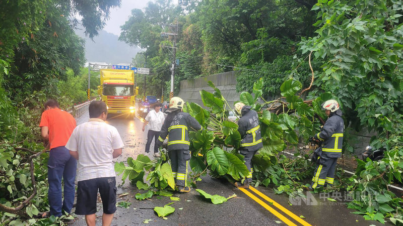 鋒面帶來大雨，新北市三峽區大埔路23日有路樹傾倒，消防人員與公路總局第一區養護工程處承包廠商已清理，恢復通行。（翻攝照片）中央社記者高華謙傳真 112年5月23日