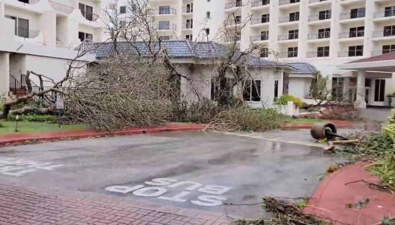 颱風瑪娃侵襲關島，25日街頭樹木倒塌。（路透社）