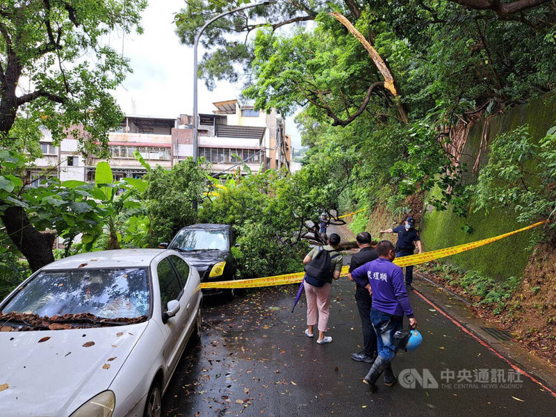 颱風瑪娃持續緩慢北移，台北市31日風雨逐漸加大，北投區崇仰一路一棵高約10公尺的路樹斷裂、倒塌，壓損2輛汽車，警消獲報後在現場拉起警戒線。（翻攝照片）中央社記者黃麗芸傳真  112年5月31日