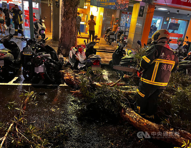 颱風瑪娃海警解除但31日晚間仍需留意風雨，台北市大同區重慶北路晚間發生路樹傾倒事件，殃及路邊停放的機車，所幸無人傷亡，也無安全顧慮，消防獲報立即派員協助移置。（翻攝照片）中央社記者黃麗芸傳真  112年5月31日