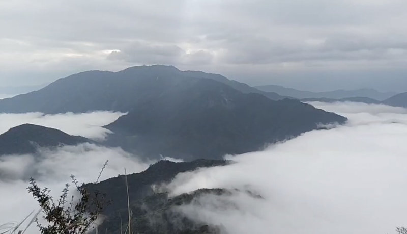 苗栗縣南庄鄉加里山海拔約2200公尺,沿途林相、生態豐富,山嵐變化萬千,登頂後視野遼闊,山上雲海、雲瀑令人驚豔,是國內熱門「小百岳」之一。(李素珍提供)中央社記者管瑞平傳真 112年6月1日
