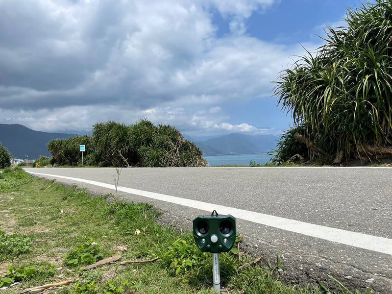 無主流浪犬追車咬人、傷人事件頻傳，花蓮縣政府近期在七星潭風景區增設10支驅趕器，透過人類聽不到的聲波達到驅趕犬隻效果，也呼籲民眾切勿隨意破壞或移除。（花蓮縣府農業處提供）中央社記者張祈傳真  112年6月3日