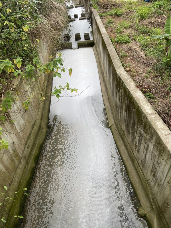 苗栗縣銅鑼工業區自強排水溝日前冒出大量白色泡沫，縣府環保局5日表示，現場初步量測水體PH值無異狀，另已採樣進一步檢測化學物及重金屬等物質。（苗栗縣議員黃芳椿提供）中央社記者管瑞平傳真 112年6月5日