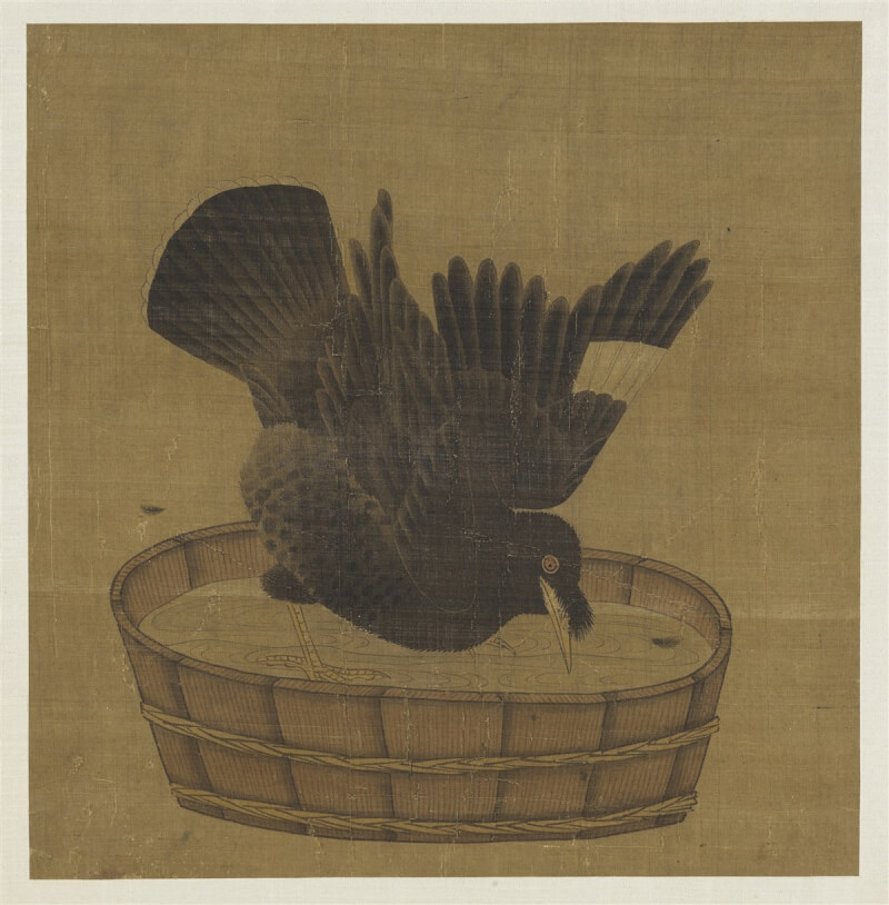故宮南院「翰墨空間-故宮書畫賞析」常設展6月6日起迭換新品,展出一系列以鴝鵒(八哥)為題的花鳥畫作。圖為宋李迪禽浴圖。(故宮南院提供)中央社記者蔡智明傳真 112年6月6日