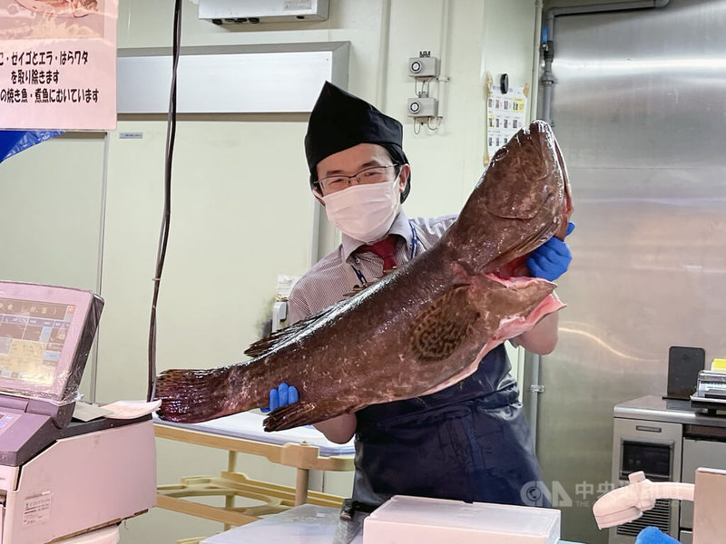 日本知名水產公司魚力正在東京晴空塔舉辦推廣台灣石斑活動,6日的石斑切割秀,魚師傅切割手法精湛,大讚台灣石斑肉質一級棒。中央社記者楊明珠東京攝 112年6月7日