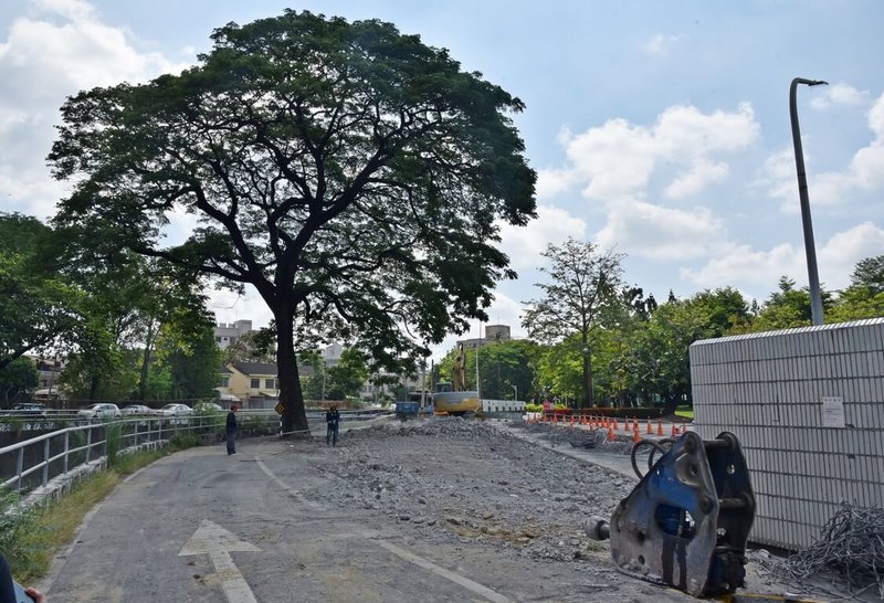 為保護超過60年的雨豆樹，屏東大學圍牆退縮最多達7公尺，共提供256平方公尺的校地，新闢5公尺寬的道路，方便民眾通行。（屏東大學提供）中央社記者李卉婷傳真 112年6月7日
