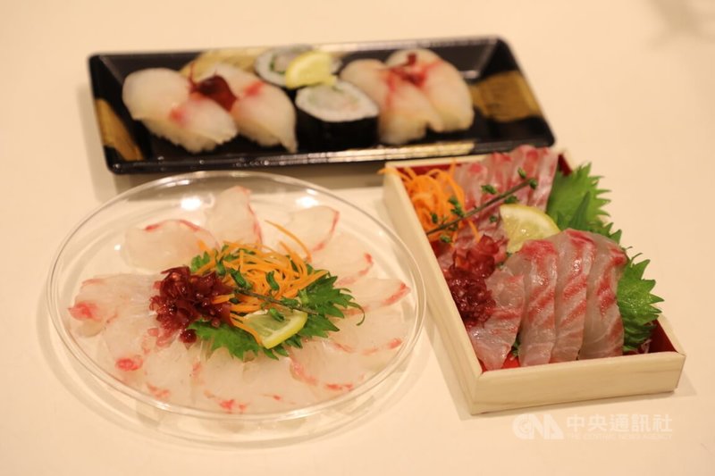 台農發公司與日本知名水產食品公司Suntrust於3月7日東京國際食品展期間簽訂採購合作備忘錄,首批採購50噸。6月5至7日在水產公司魚力的東京晴空塔店舉辦台灣石斑魚行銷活動。圖為台灣龍膽石斑、青斑做成的日式料理。中央社記者楊明珠東京攝 112年6月7日