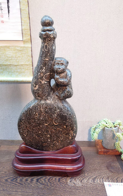 嘉義市愛石會7日在市府文化局舉辦成果展,八掌溪化石變身藝術品,成為展場焦點。圖為螺類化石雕刻。中央社記者蔡智明攝 112年6月7日