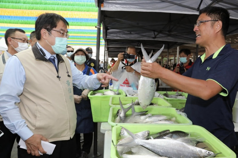 針對有媒體報導台南虱目魚近年量少價高是漁電共生所造成，台南市農業局13日回應指稱並非主因。圖為台南市長黃偉哲（前左）視察虱目魚產銷情形。（台南市政府提供）中央社記者楊思瑞台南傳真  112年6月13日