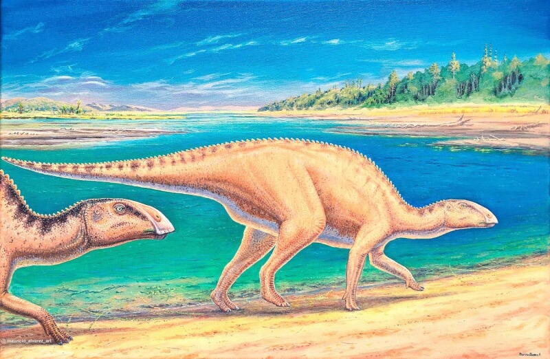科學家在智利發現草食性恐龍物種的遺骸，這個結果推翻了長久以來對於鴨嘴龍分布範圍的看法。（圖取自twitter.com/uchile）