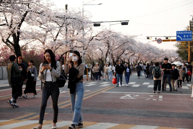 圖為韓國首爾櫻花盛開，民眾走在路上。（路透社）