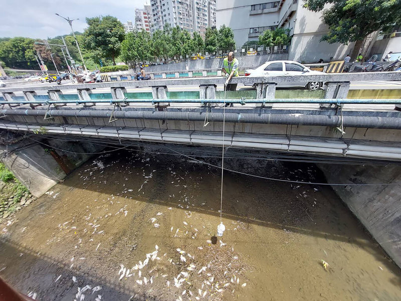 基隆市鶯歌溪29日疑因連日高溫、水位降低，水中溶氧量不足，導致魚群暴斃，環保局獲報派員到場清理。（基隆市環保局提供）中央社記者沈如峰基隆傳真  112年6月29日