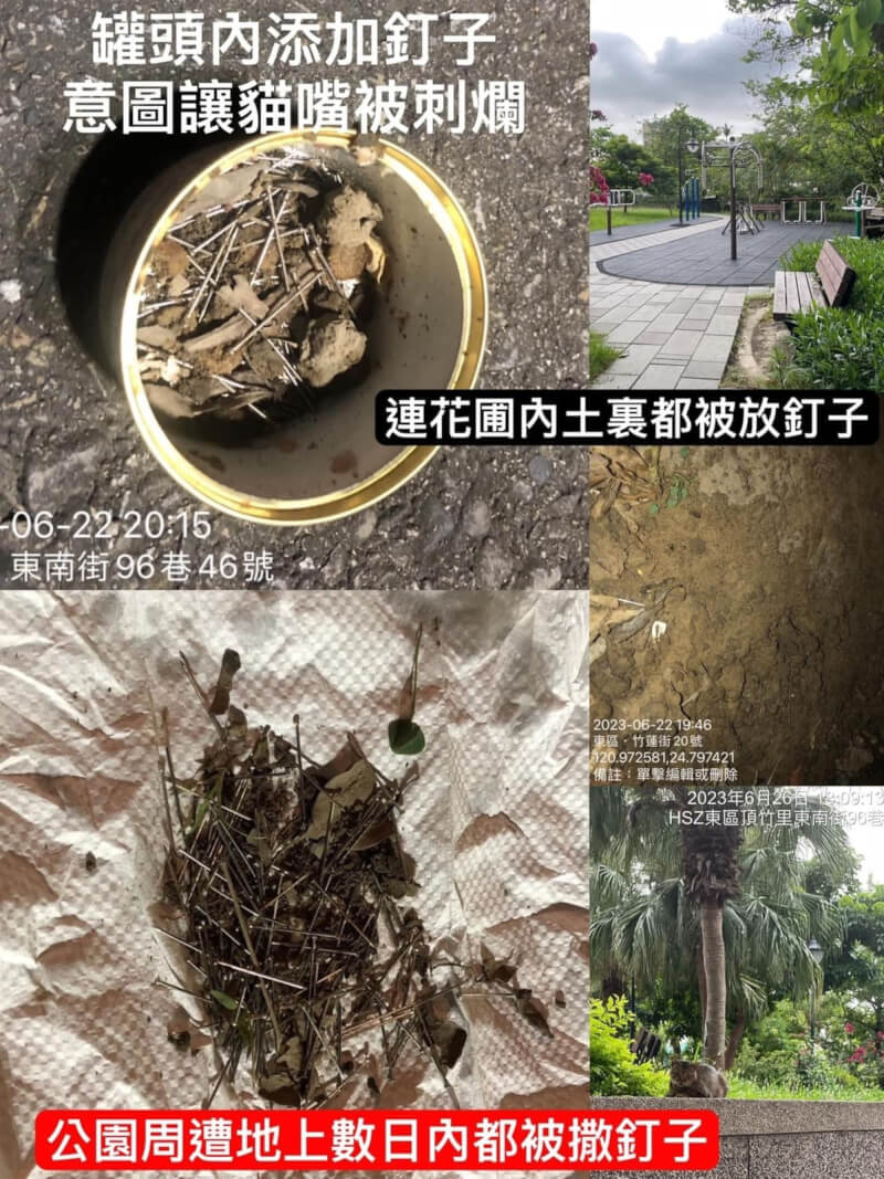 新竹市頂竹圍公園近日被民眾發現遭人放置大量釘子，志工到場收拾還發現有貓罐頭內被放入鐵釘，甚至花圃有濃重漂白水味等，懷疑是有人為驅趕流浪貓所為，隨即向警方及相關單位通報。（取自臉書「邵柏森-虎哥救援大小事」）中央社記者魯鋼駿傳真 112年6月29日