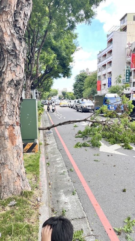 台中市南屯區2日下午發生路樹倒塌事件，事發當下陳姓女子正好騎機車載著10歲姪子經過，不幸遭斷枝砸中，2人輕傷送醫。（民眾提供）中央社記者郝雪卿傳真  112年7月2日