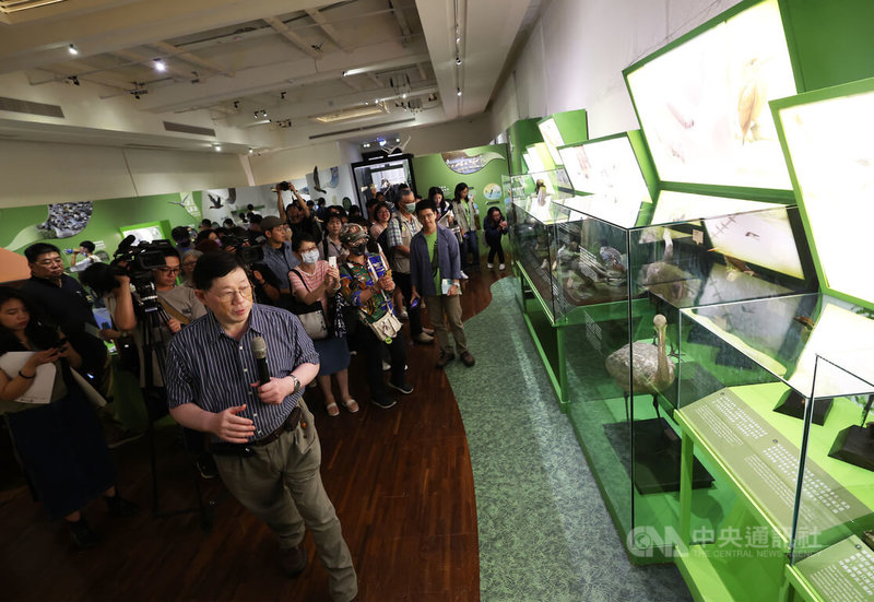 「漂鳥集-台灣候鳥展」10日下午在國立台灣博物館舉行開幕典禮,館內展出許多候鳥標本,吸引許多民眾前來參觀。中央社記者趙世勳攝 112年7月10日