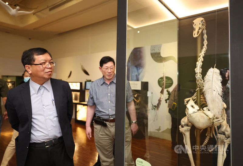「漂鳥集－台灣候鳥展」10日下午在國立台灣博物館舉行開幕式，現場展示許多台灣候鳥標本，引領民眾認識鳥類生態多樣性。圖右為鴕鳥骨骼標本。中央社記者趙世勳攝  112年7月10日